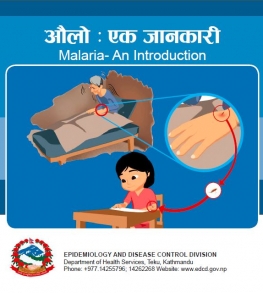 Malaria Program